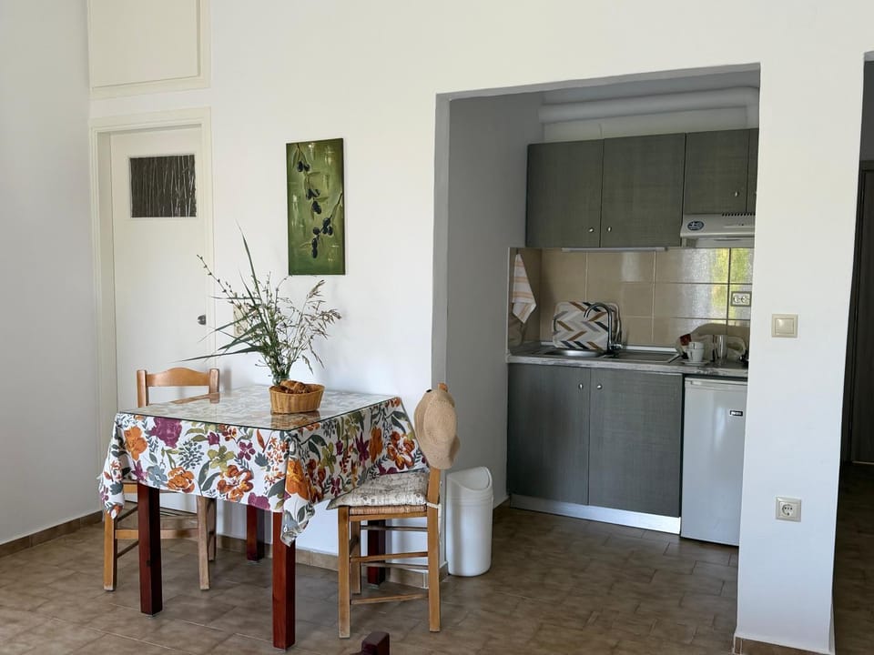 Zourpos Studios Apartment in Crete