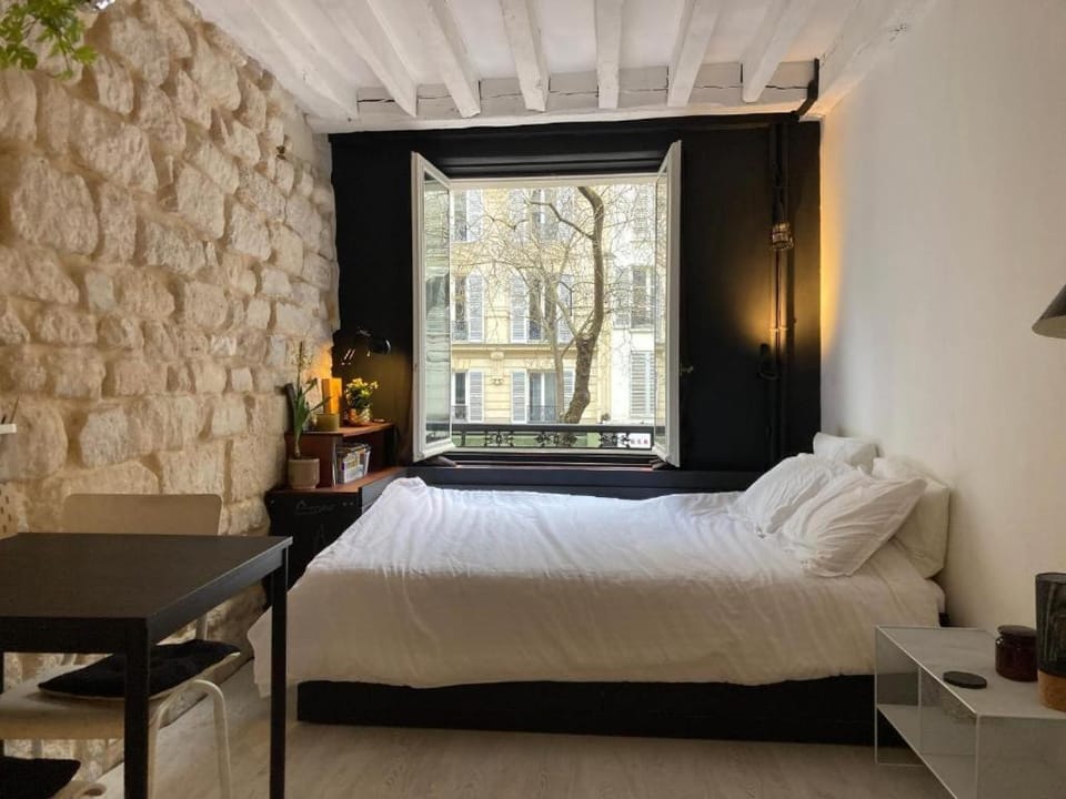 charming studio in center of Paris Apartment in Paris