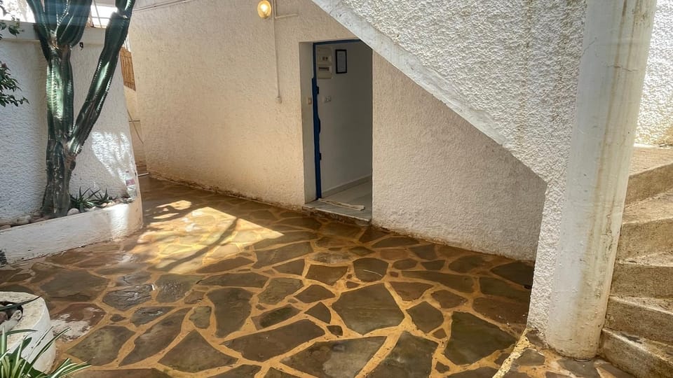cactus Apartment in Algeria