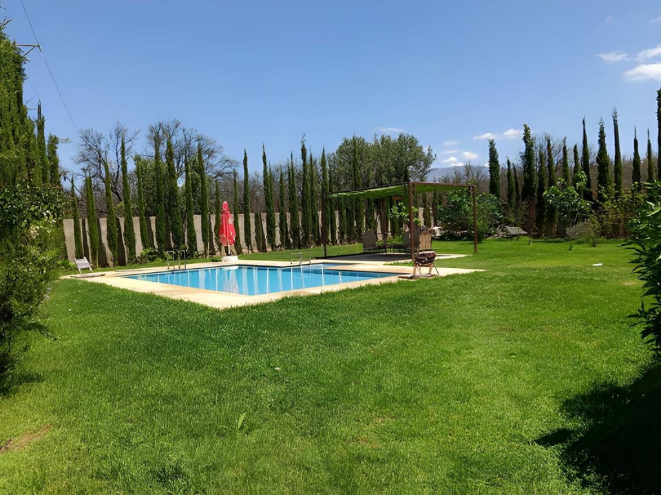 Garden, Swimming pool