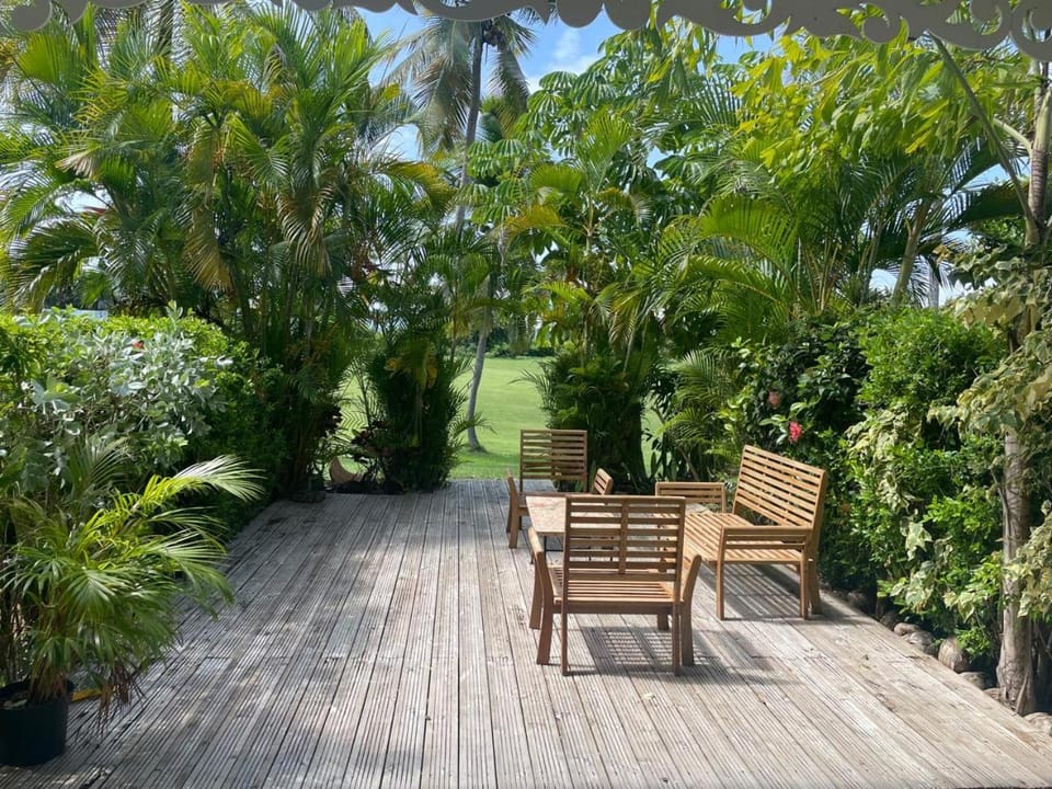 Garden view