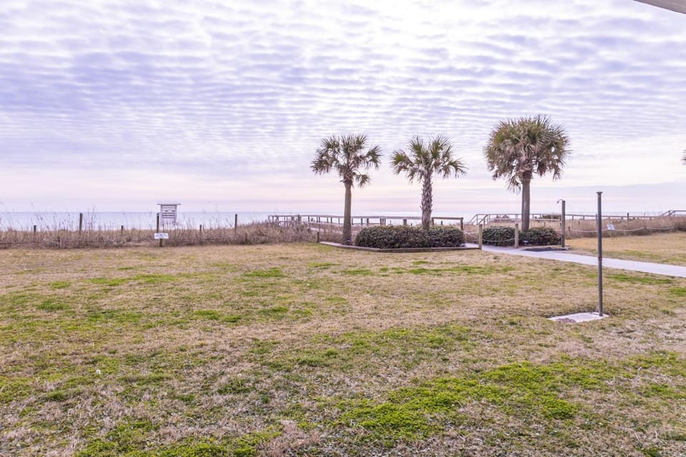 Garden, Sea view