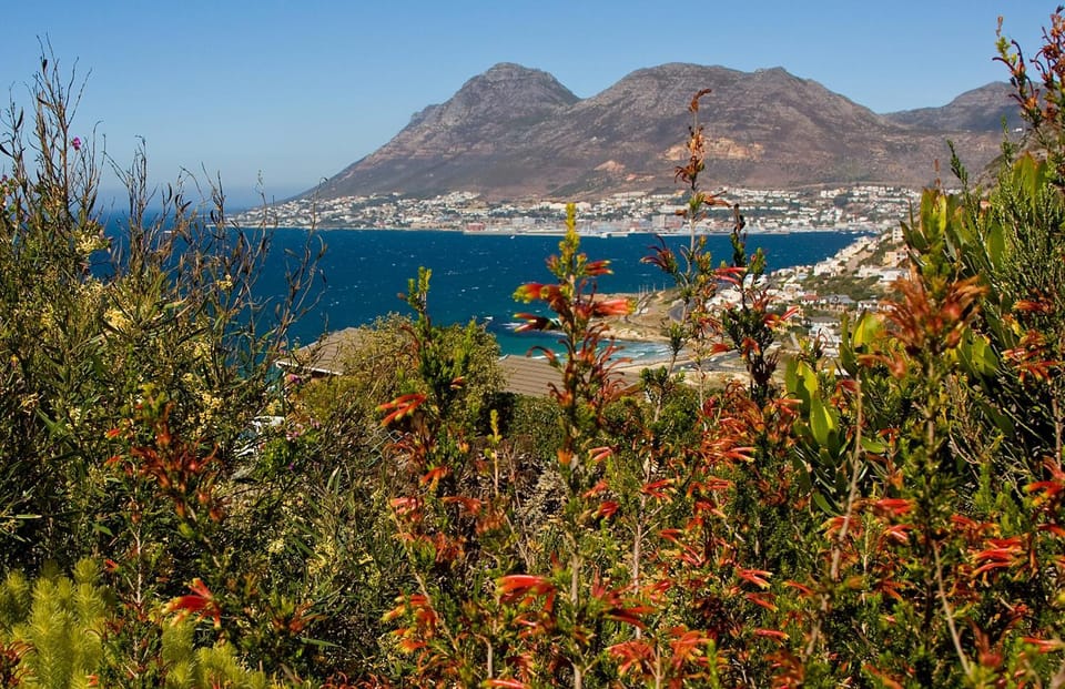 Garden, Sea view