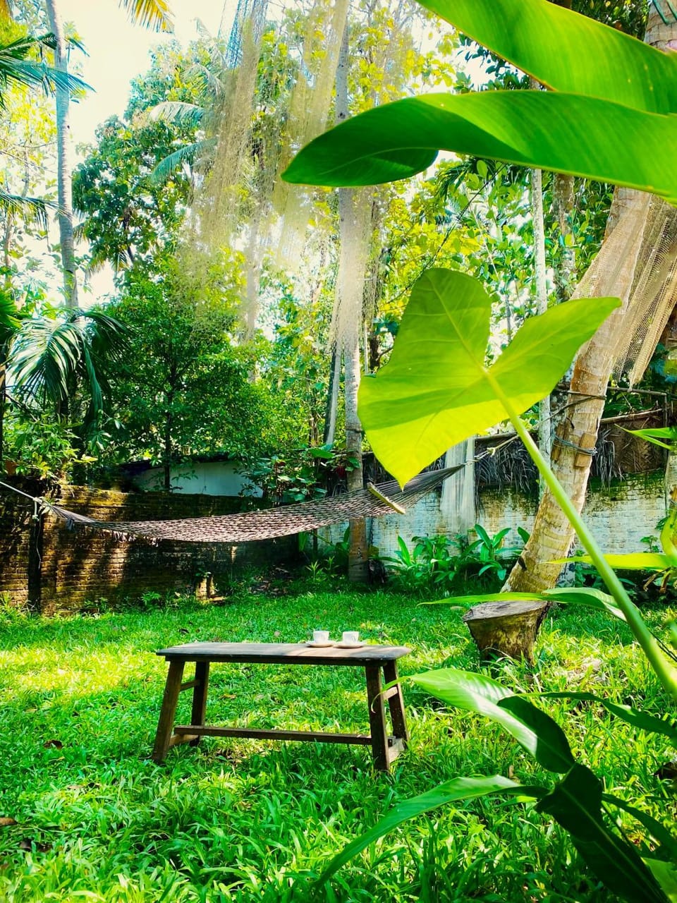 My Qissa in Varkala Bed and Breakfast in Varkala