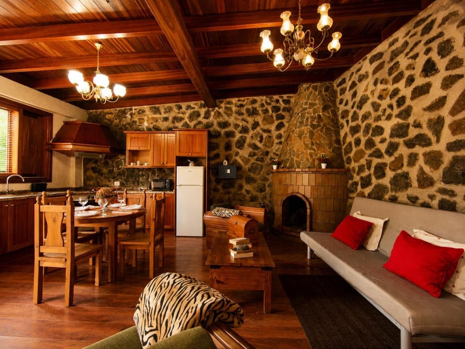 Kitchen or kitchenette, Living room, Dining area, fireplace