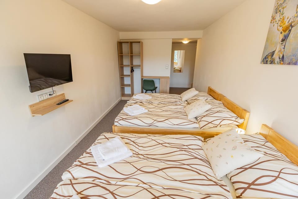 Penzion Kopaninky Bed and Breakfast in South Moravian Region