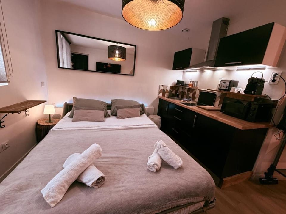 Le Secret de Sainte-Anne Écusson vaulted suite Apartment in Montpellier