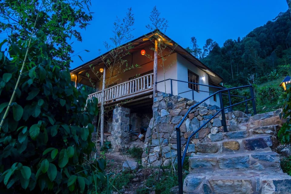 Riverside Gorilla Lodge - Bwindi Nature lodge in Uganda