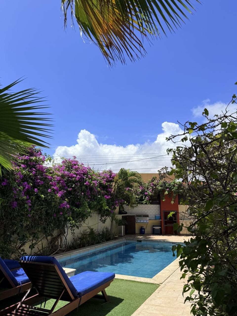 Merlot Villas Aruba private pool from Palm Beach House in Noord