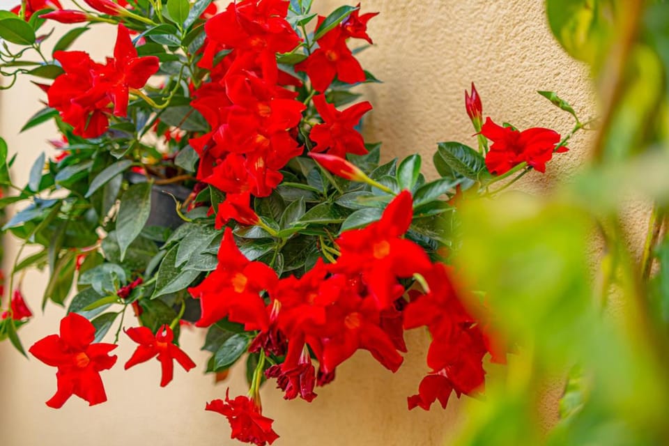 Decorative detail