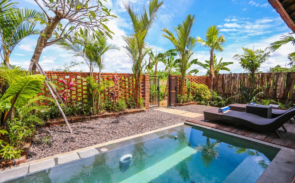 Natural landscape, Garden, Garden view, Pool view, Swimming pool