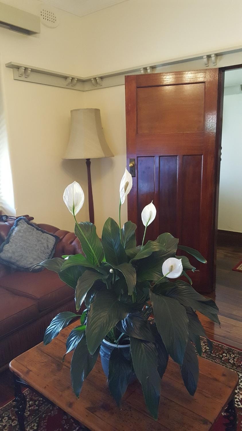 Ravenswood , an Iconic Drouin Residence Villa in Drouin