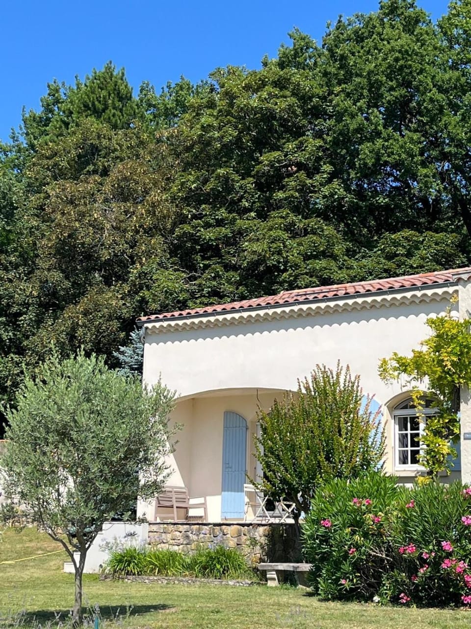 Garden view