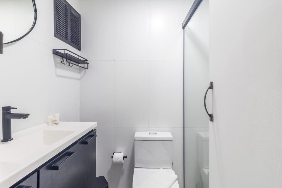 Akile Barata Ribeiro Apartment in Sao Paulo City