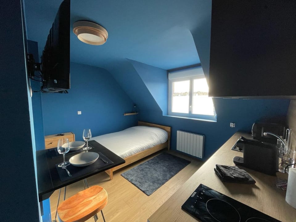Le Studio Cocon - En Hypercentre Valenciennes Apartment in Valenciennes