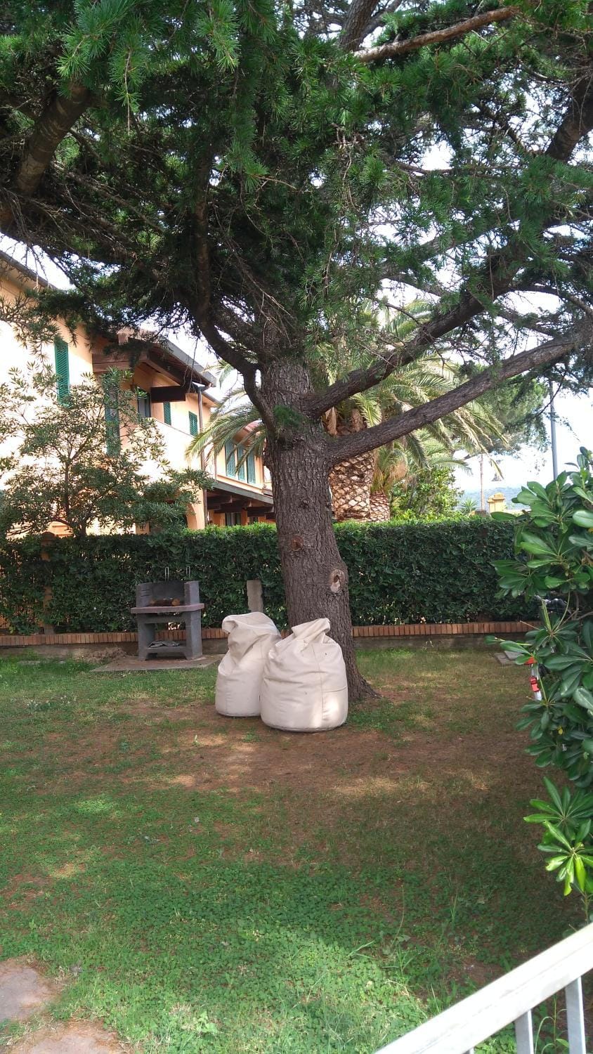 Casa Santa Margherita Bis Apartment in Tuscany