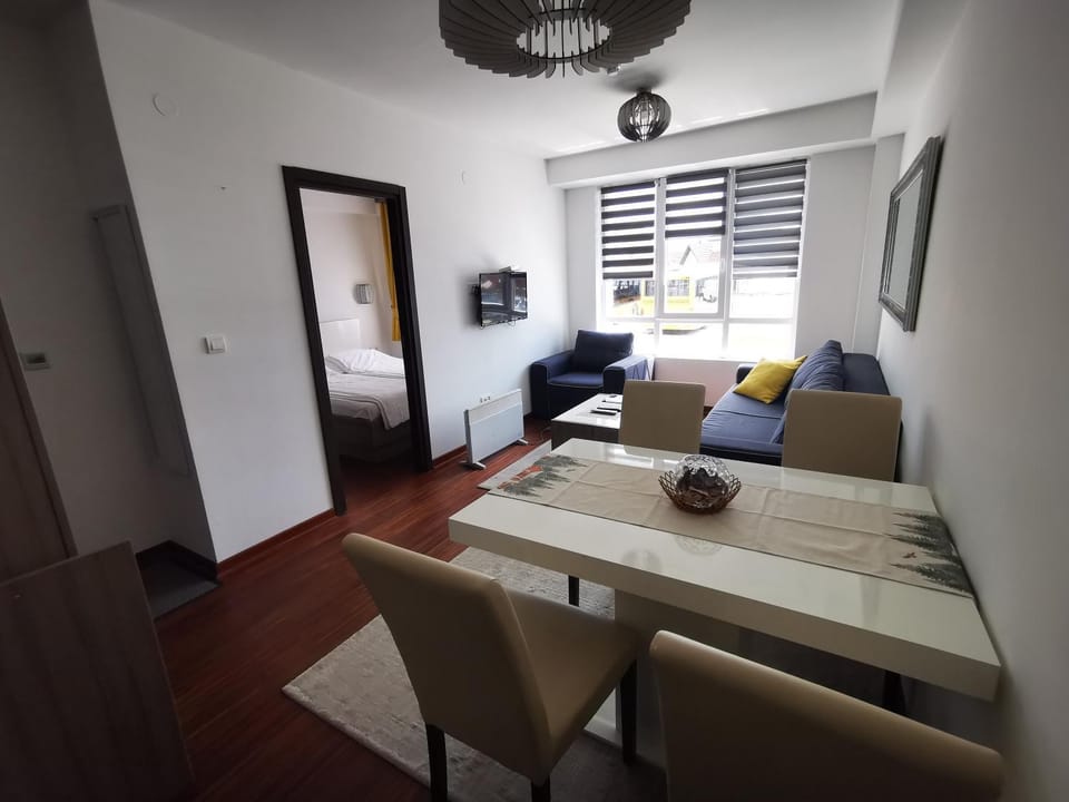 Apartman 10-43 Kraljevi Čardaci Apartment in Serbia