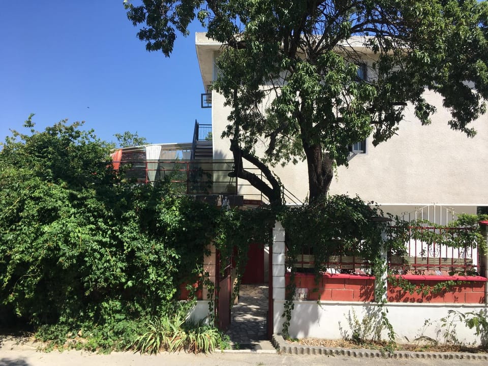 Property building, Day, Garden