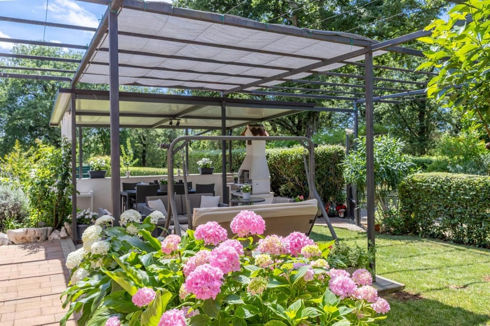 Patio, Garden