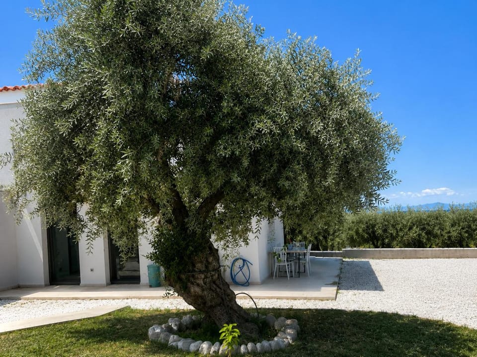 Property building, Garden