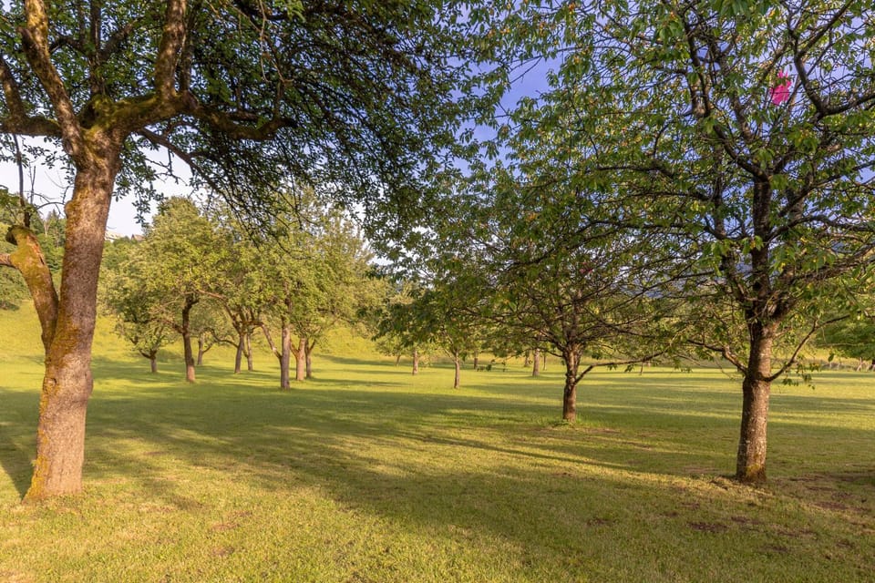 Property building, Natural landscape, Location