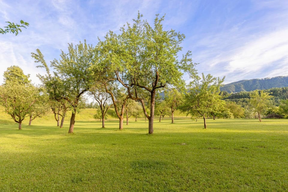 Property building, Natural landscape, View (from property/room)
