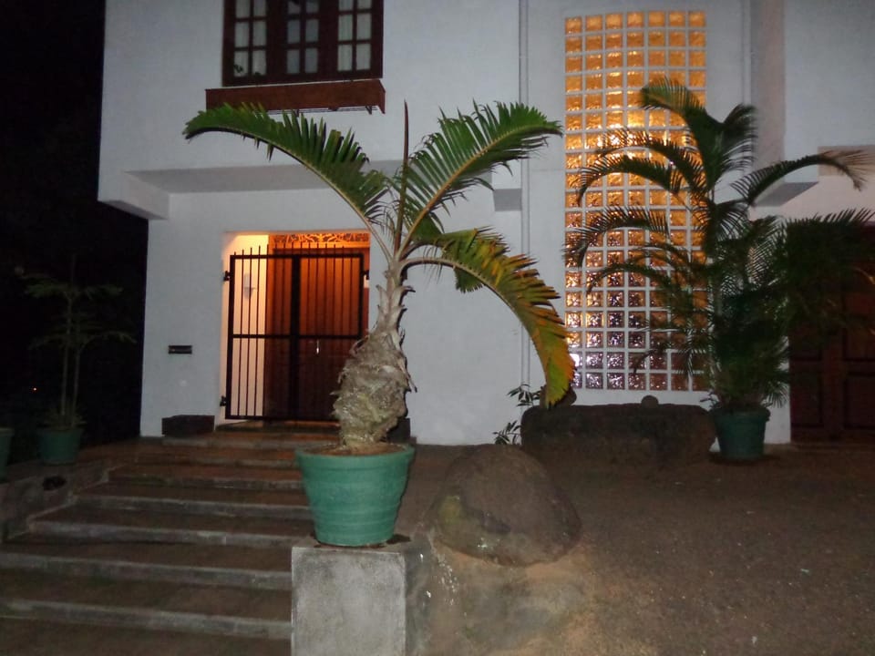 Facade/entrance, Night, Street view