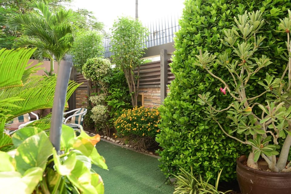 Spring, Day, Garden, Garden view
