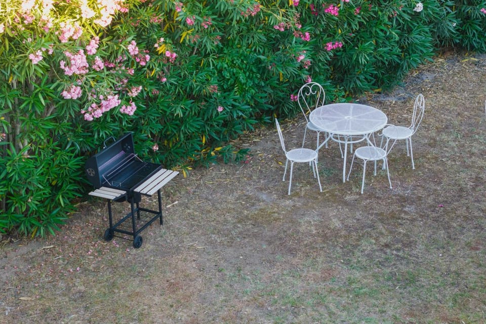 Spring, Day, Garden, Dining area, Evening entertainment, Garden view