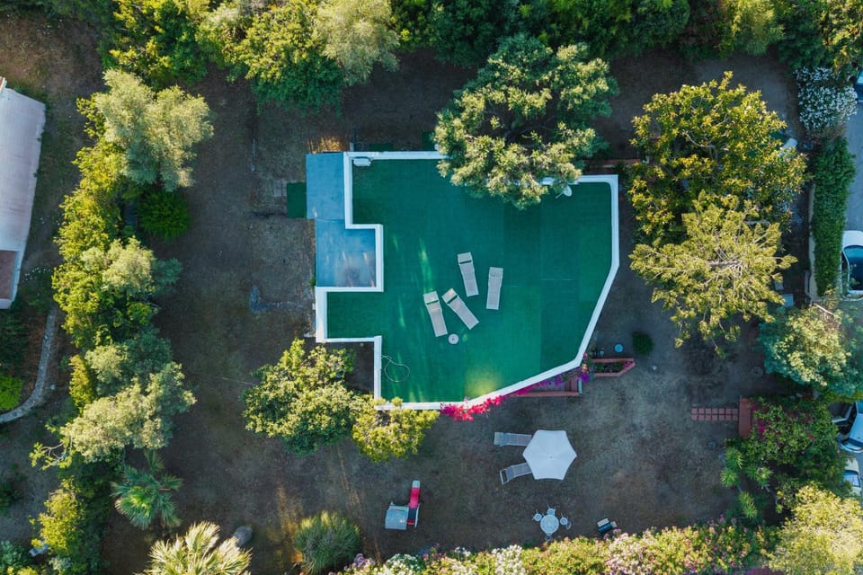 Spring, Day, Natural landscape, Bird's eye view, Garden, Garden view