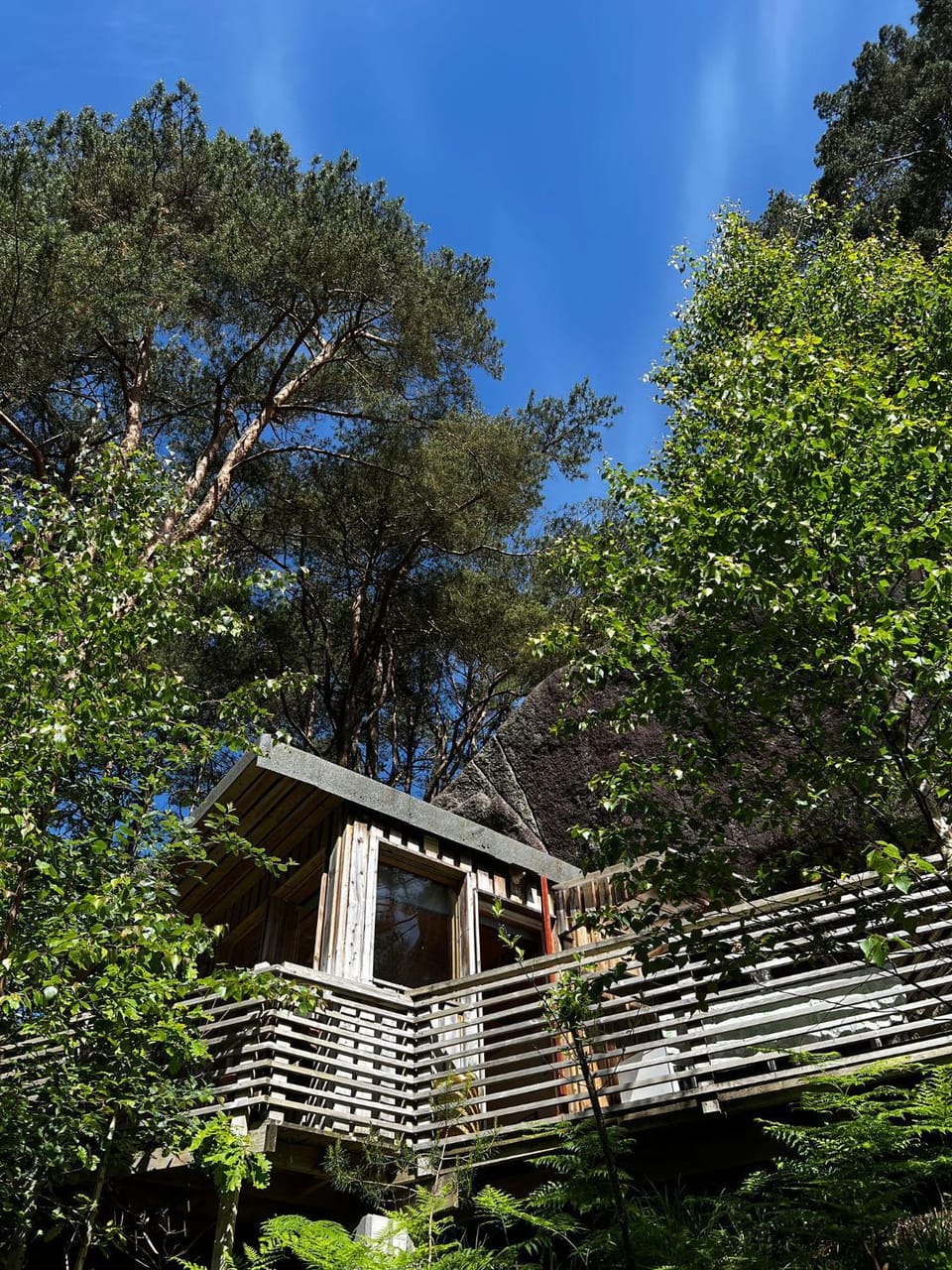 on the edge & in the bushes Apartment in Rogaland