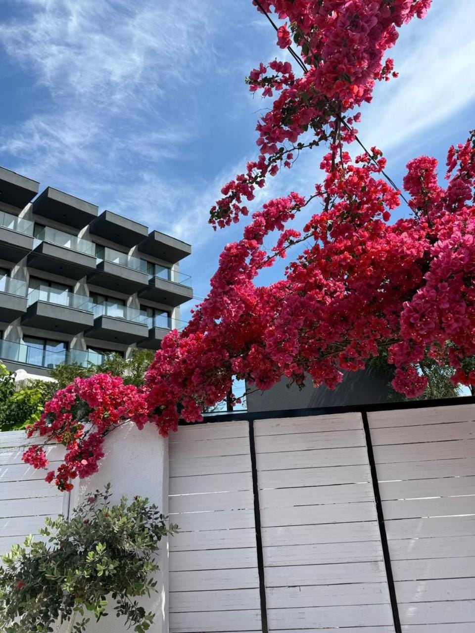 Katerina's Houses Apartment in Ksamil
