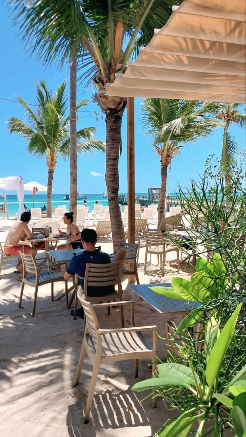 Patio, Restaurant/places to eat, Natural landscape, Seating area, Beach, sunbed