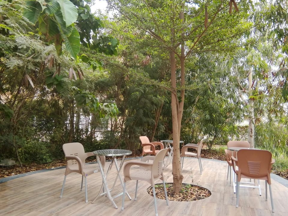 Spring, Garden, View (from property/room), Balcony/Terrace, Garden view