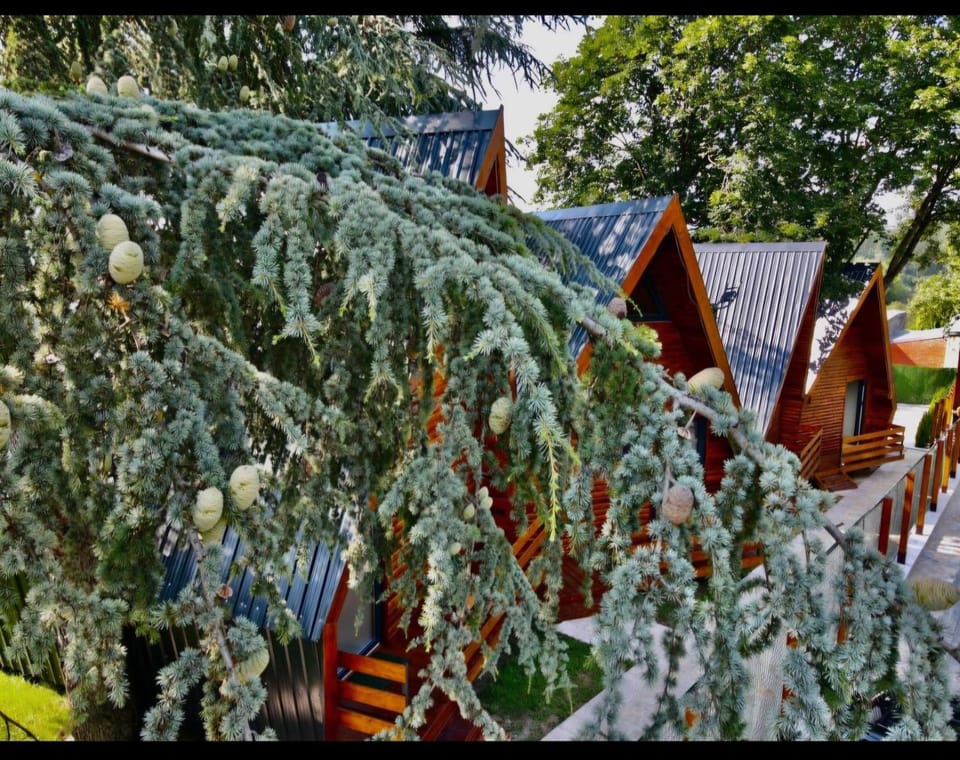 Kucice Grocka-Greenwood Cabins Cabin in Serbia