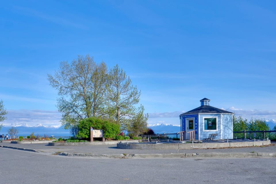 Whale Watch, Fish & Hike Glaciers! Homer Cabin Cabin in Alaska