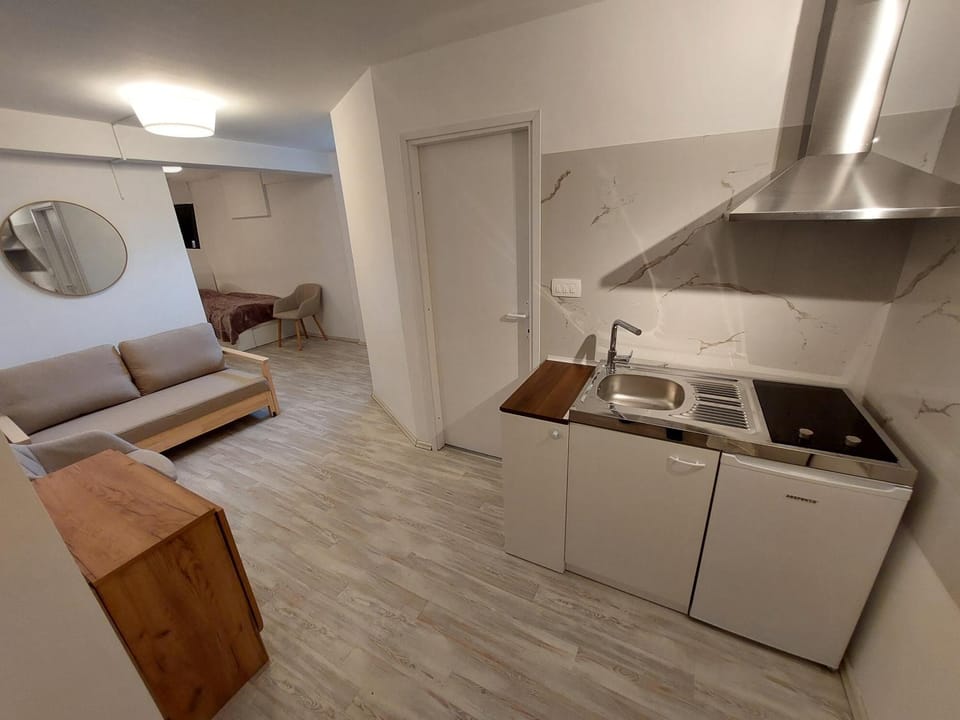 Bed, Kitchen or kitchenette, Living room, Photo of the whole room, Seating area, Bedroom, minibar, stove