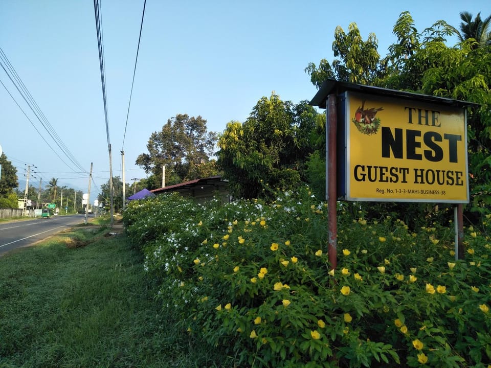 The Nest Bed and Breakfast in Uva Province, Sri Lanka