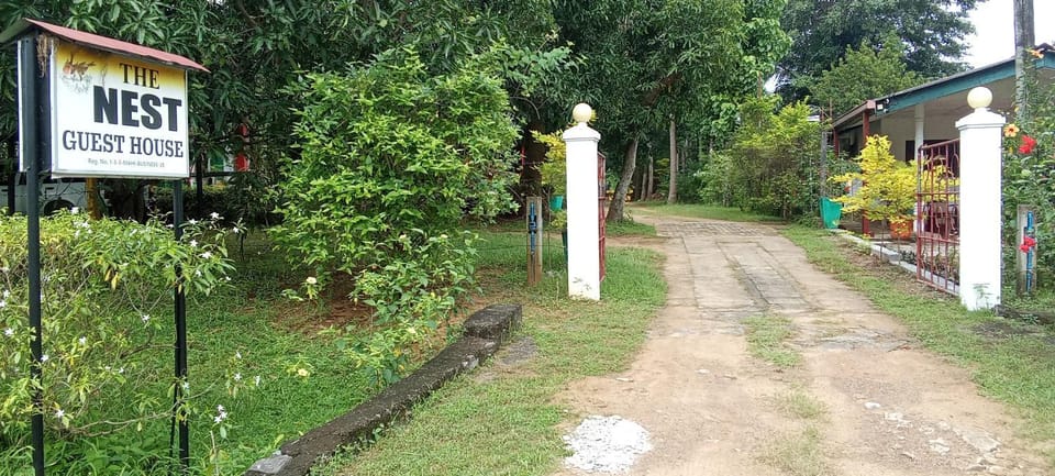 The Nest Bed and Breakfast in Uva Province, Sri Lanka