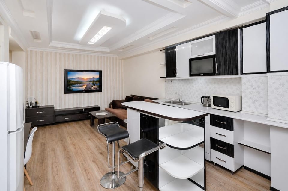 K1 Great apartment near Republic Square Apartment in Yerevan
