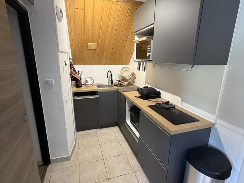Studio cabine au cÅur de la station - anim. OK - FR-1-787-153 Cabin in Auvergne-Rhône-Alpes
