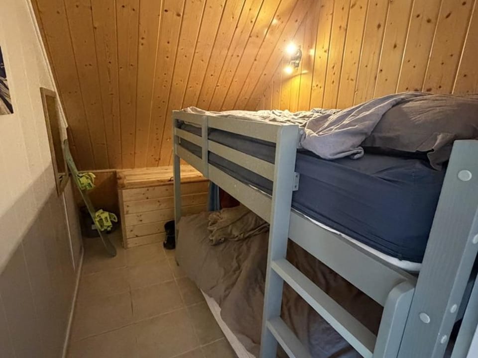 Studio cabine au cÅur de la station - anim. OK - FR-1-787-153 Cabin in Auvergne-Rhône-Alpes