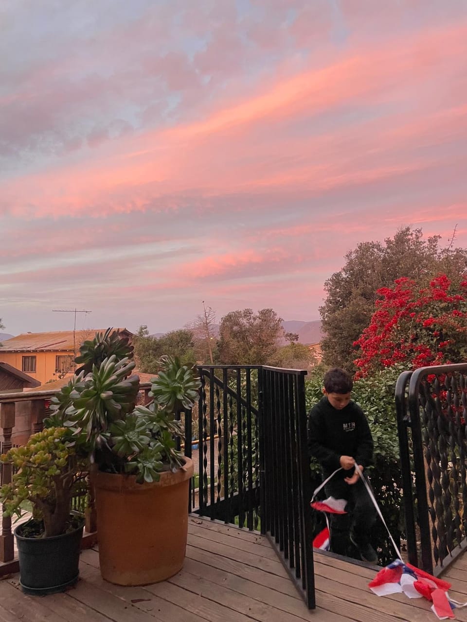 Balcony/Terrace