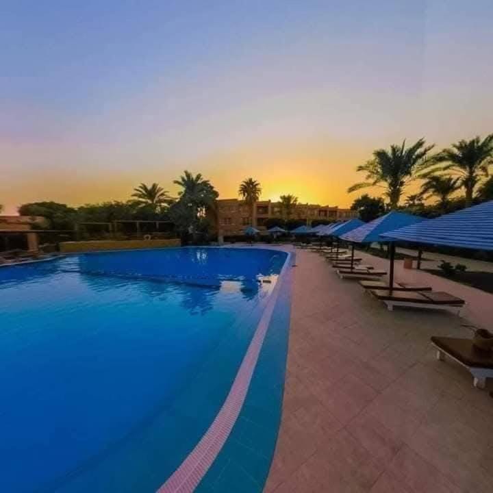 Day, Natural landscape, Pool view, Swimming pool, Sunrise, Sunset, sunbed