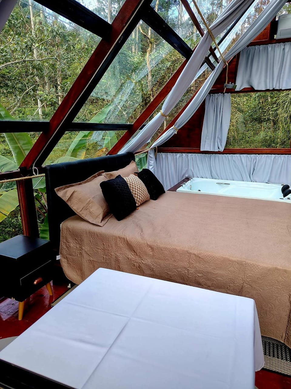Bed, Photo of the whole room