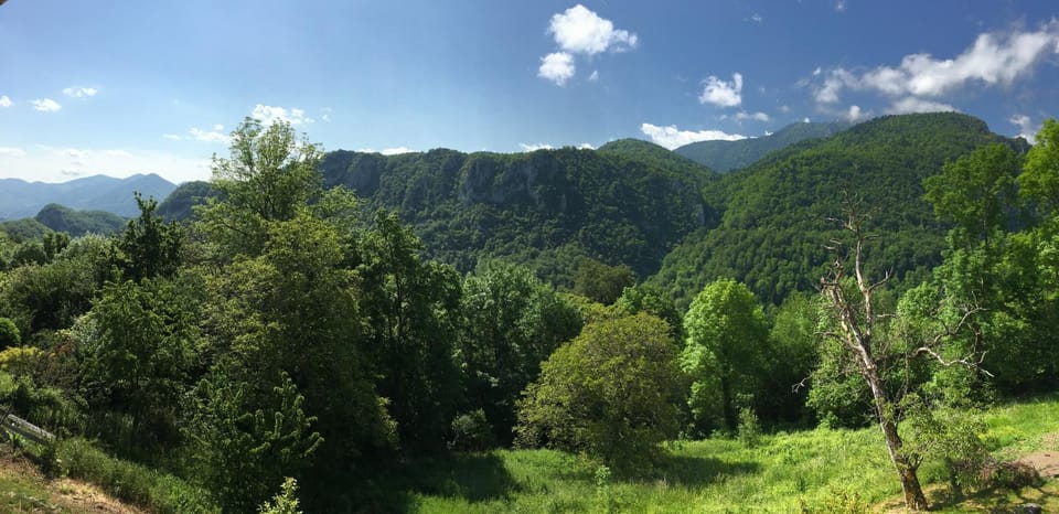 Mountain view