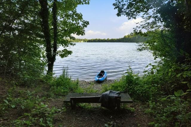 Lake view