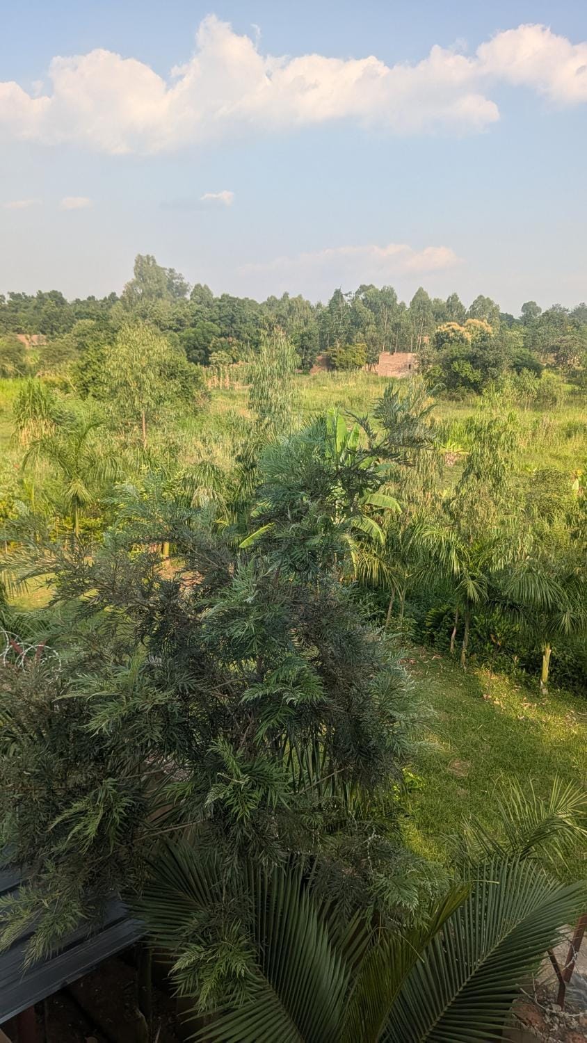 Lamaro view Gulu Vacation rental in Uganda