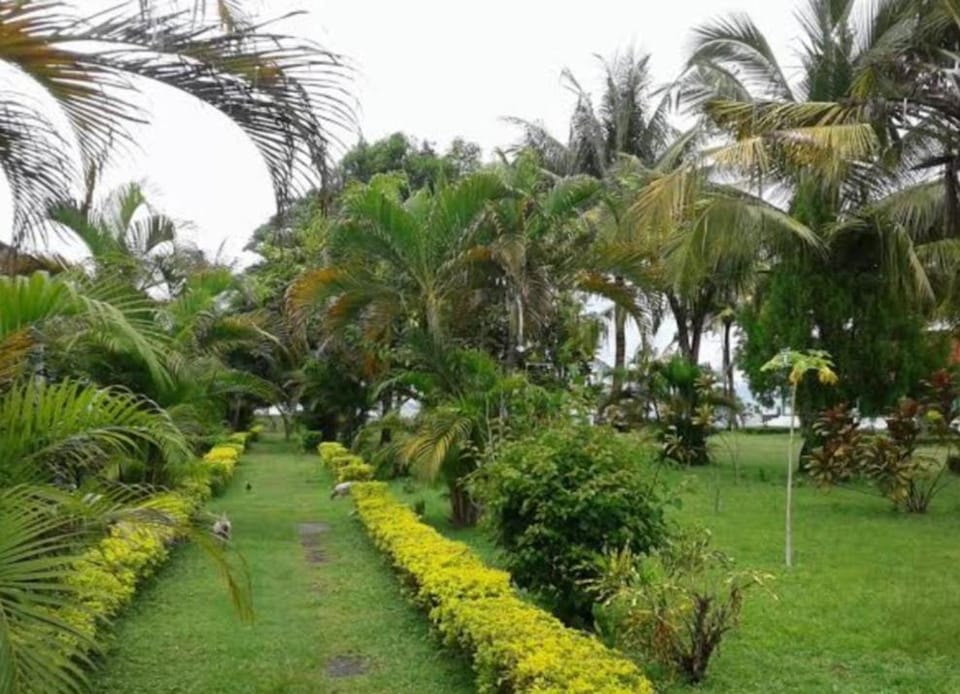 Hotel Puma Bungalow Nature lodge in West Nusa Tenggara, Indonesia