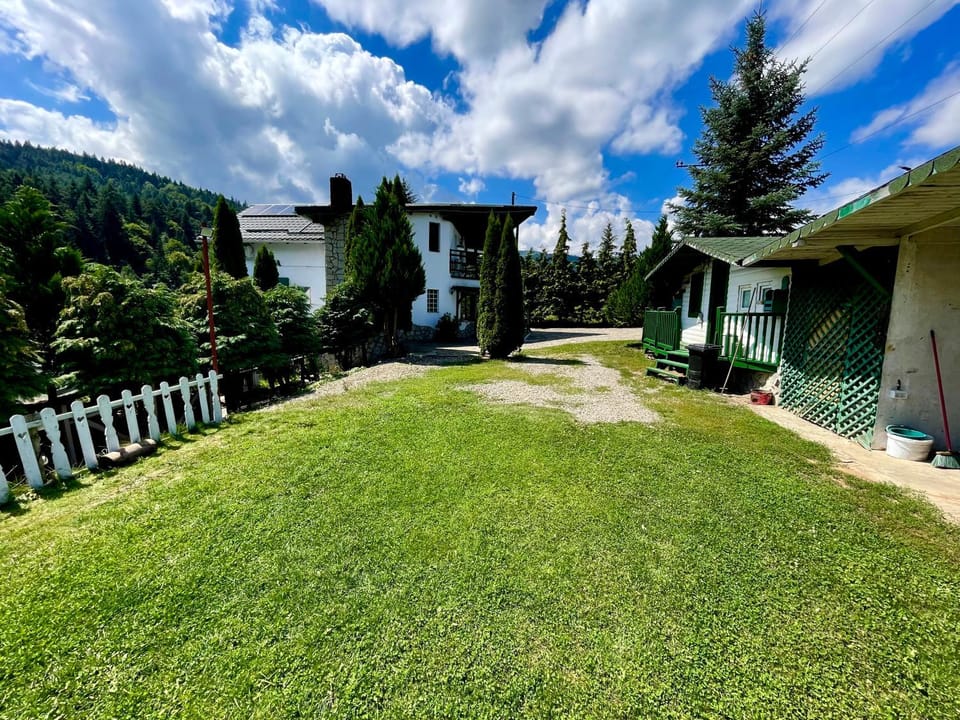 Vila Horia Bradet Bed and Breakfast in Brașov County